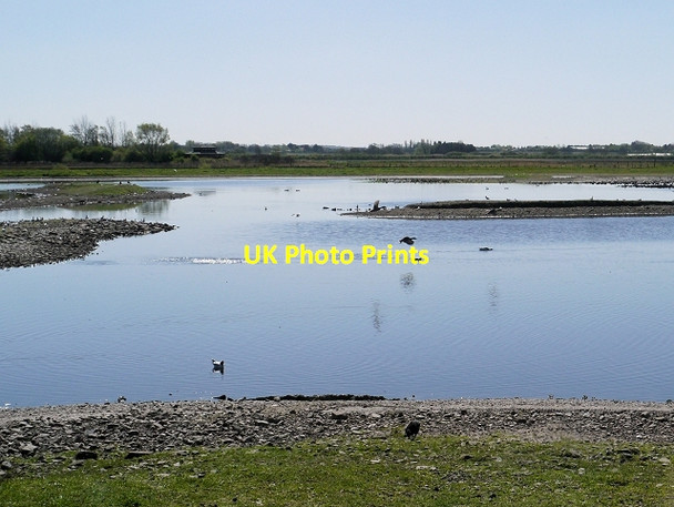 Photo 6"x4" Martin Mere from Raines Observatory Tarlscough c2014