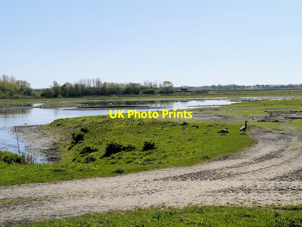 Photo 6"x4" View from Hale Hide, Martin Mere WWT Centre Tarlscough c2014