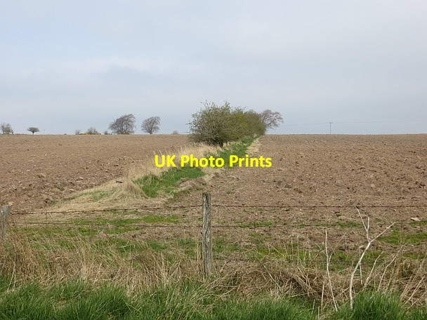 Photo 6"x4" Old hedge Sandford\/NS7143 c2014