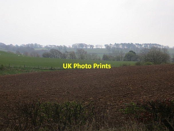 Photo 6"x4" Newly ploughed field Glassford c2014
