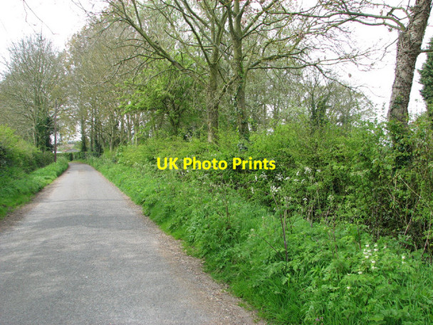 Photo 6"x4" View along Syers Lane Beeston\/TF9015 c2014