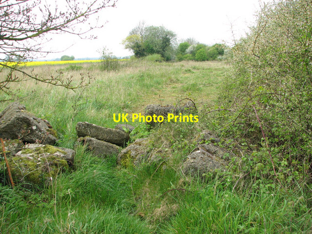 Photo 6"x4" Track into Honeypot Wood High Green\/TF9214 c2014