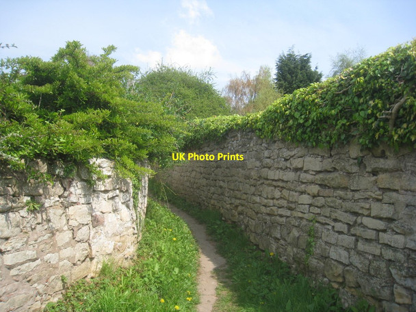 Photo 6"x4" The beginning of the path to Hodsock Carlton in Lindrick c2014