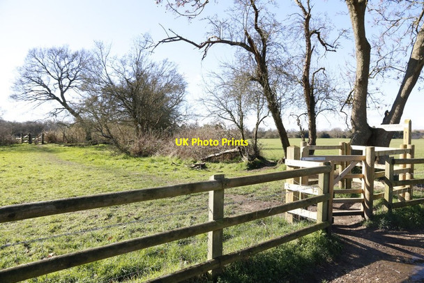 Photo 6"x4" Footpath to the Village Mortimer West End c2014