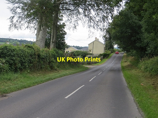 Photo 6"x4" Urney Road Clady c2013