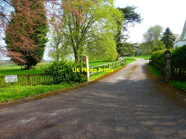 Photo 6"x4" The drive at Herriard Park Herriard c2014