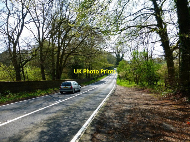 Photo 6"x4" The A339 looking south Cliddesden c2014
