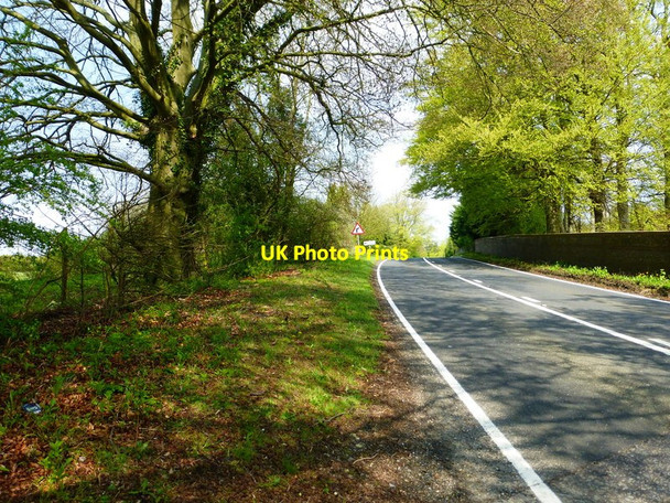 Photo 6"x4" The A339 looking north Cliddesden c2014