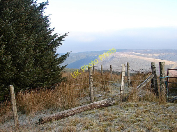 Photo 6"x4" Fence enclosing the forestry at Waun Llinau Aberangell c2008