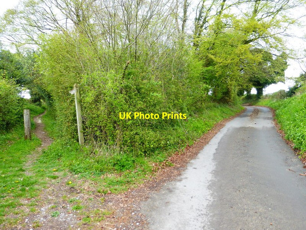 Photo 6"x4" Bridleway leaves lane south of Reeds Farm Weston Corbett c2014