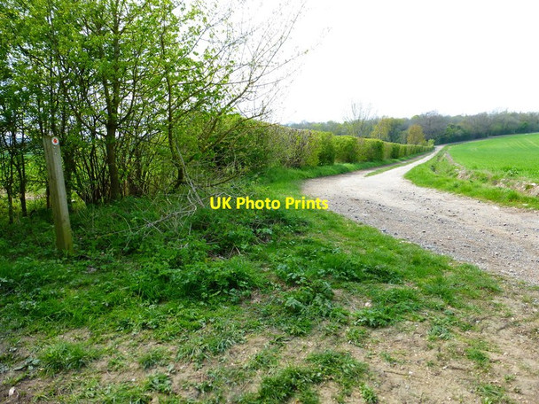 Photo 6"x4" Access track between byway and woodland Tunworth c2014