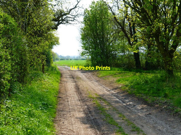 Photo 6"x4" Byway going south west at bridleway crossing Tunworth c2014