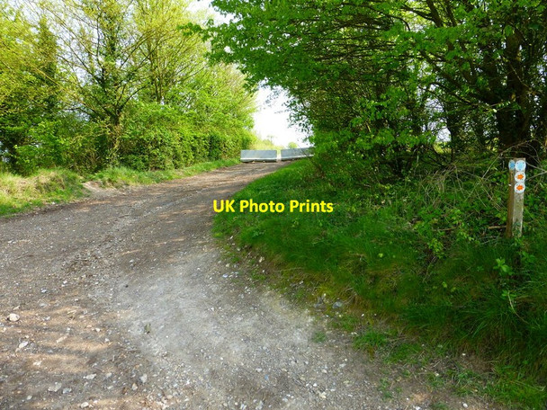 Photo 6"x4" Bridleway goes south east from byway Bidden c2014