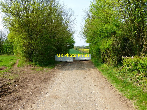 Photo 6"x4" Obstructions on bridleway Bidden c2014