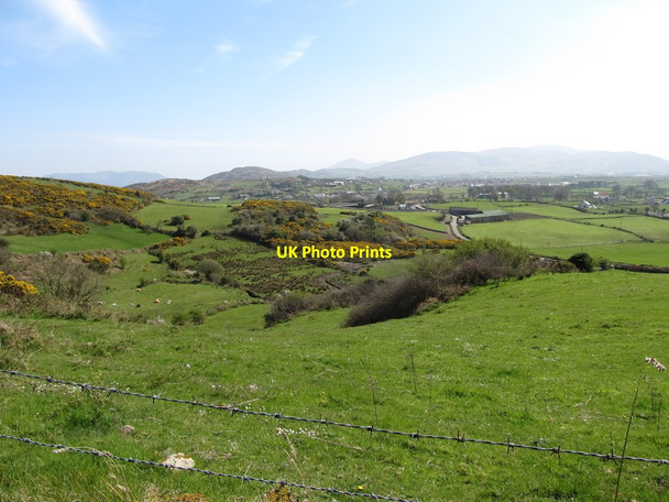 Photo 6"x4" Grazing country south of Bernish Road Newry c2014