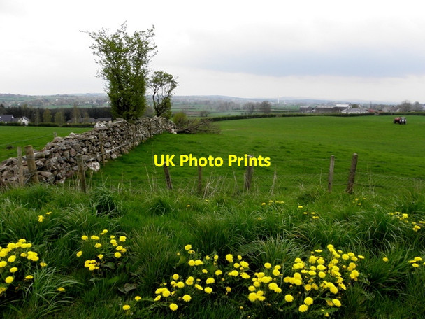 Photo 6"x4" Ballylennan Scott Castlederg c2014
