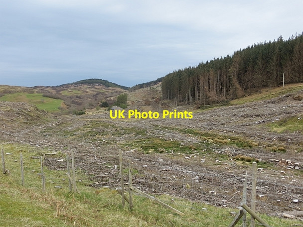 Photo 6"x4" Clear felled area, Dervaig Dervaig c2014