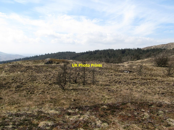 Photo 6"x4" Forests on the upper western slopes of Camlough Mountain Camlough c2014