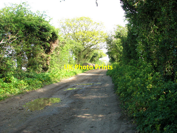 Photo 6"x4" View along Garden Drove Warham\/TF9441 c2014