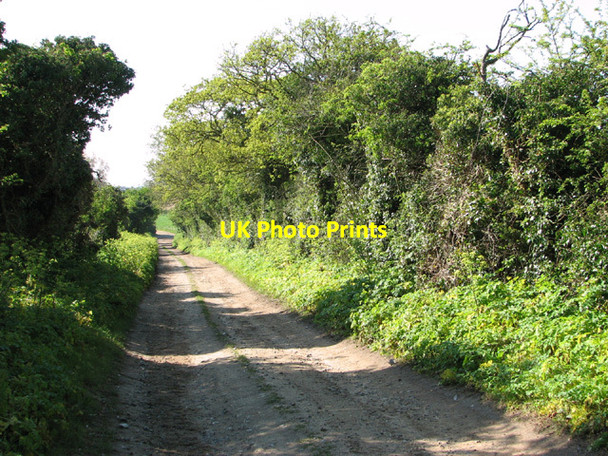 Photo 6"x4" View south along Garden Drove Warham\/TF9441 c2014