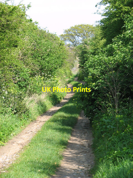 Photo 6"x4" View along Cocklestrand Drove Warham\/TF9441 c2014
