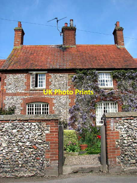 Photo 6"x4" Flowering wisteria and tulips Warham\/TF9441 c2014