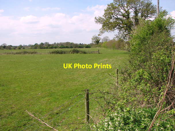 Photo 6"x4" Sheep pastures by Duck End Farm Great Snoring c2014