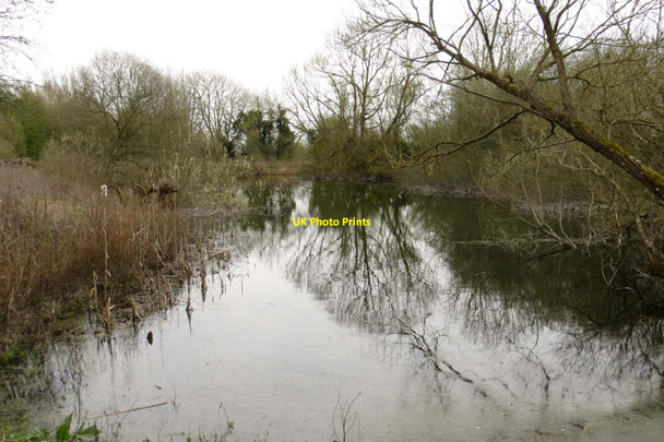 Photo 6"x4" The Dragonfly Pond in Whelford Pools Nature Reserve Fairford c2014