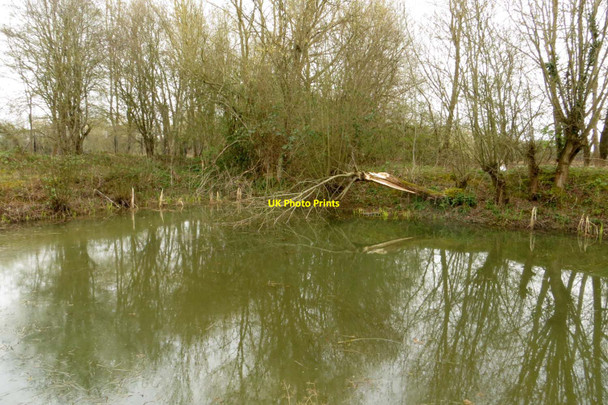 Photo 6"x4" A pond in Whelford Pools Nature Reserve Fairford c2014