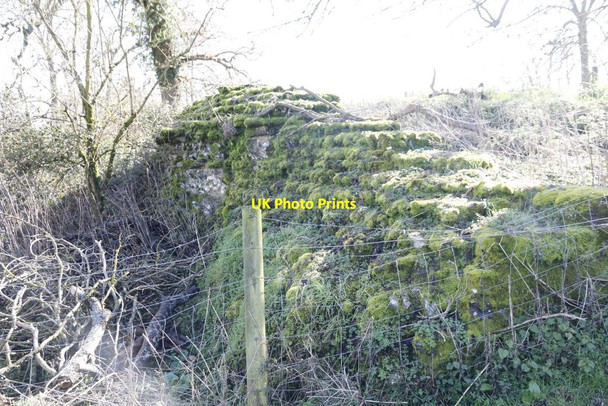 Photo 6"x4" Moss covered wall Mortimer West End c2014