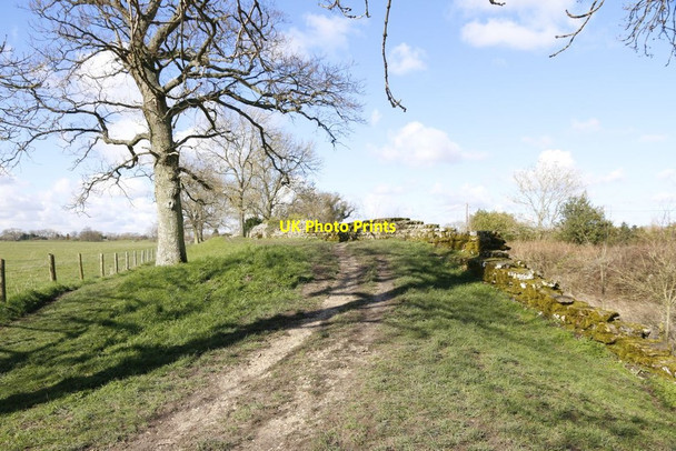 Photo 6"x4" Looking Back Mortimer West End c2014