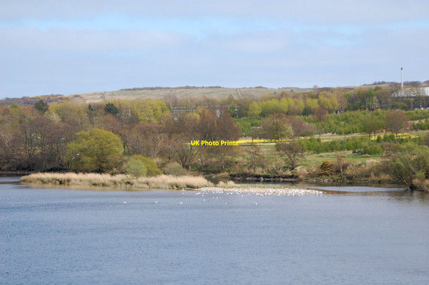 Photo 6"x4" Shoal on the River Dee Aberdeen\/NJ9206 c2014