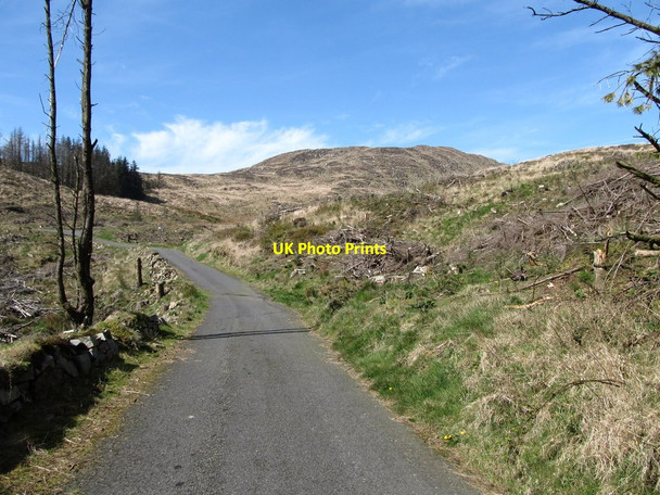 Photo 6"x4" First view of the upper slopes of Camlough Mountain Camlough c2014