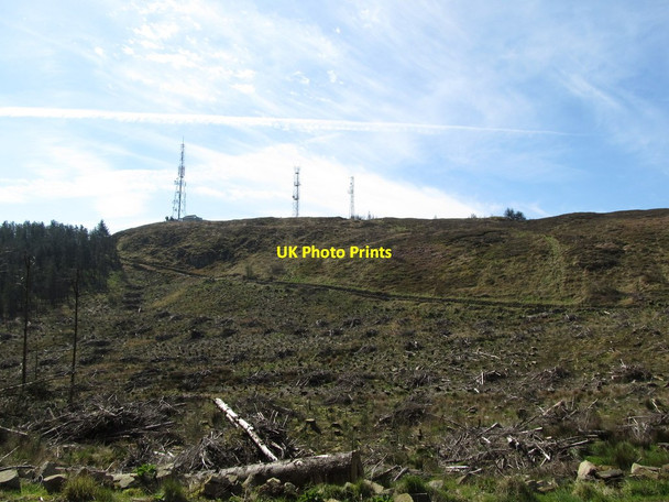 Photo 6"x4" Cut over forest below the 90 degree bend in the Camlough Forest Road Camlough c2014