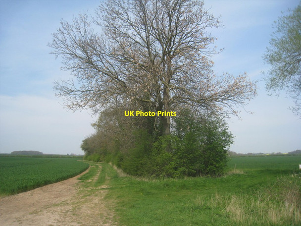 Photo 6"x4" Track to Elm Wood Hodsock c2014