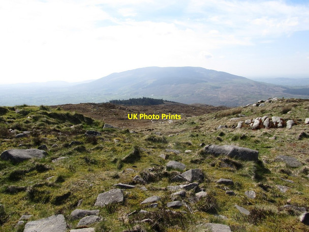 Photo 6"x4" View across the upper slopes of Camlough Mountain in the direction of Slieve Gullion Camlough c2014