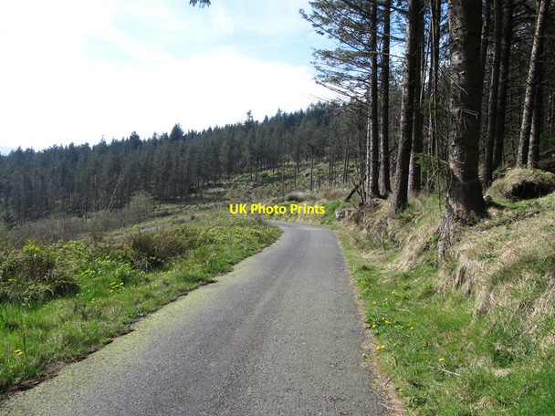 Photo 6"x4" Approaching the hair-pin bend in the Forest Road Camlough c2014