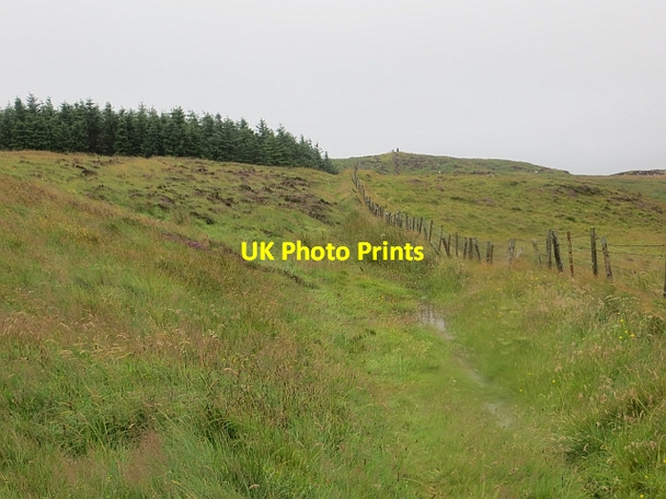 Photo 6"x4" Fence, Binevenagh Bolea c2013