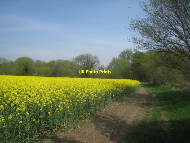 Photo 6"x4" Last field before the river Hodsock c2014