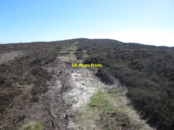 Photo 6"x4" Path approaching the summit of Greensheen Hill Holburn c2014