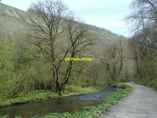 Photo 6"x4" Wye Dale scene Cowlow\/SK0972 c2014