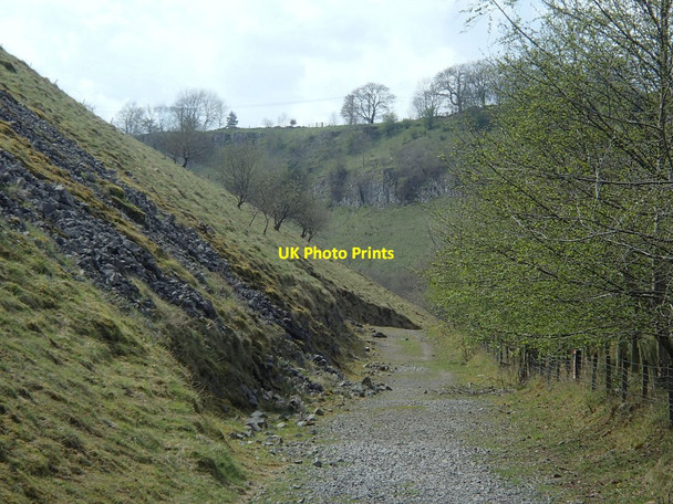 Photo 6"x4" Deep Dale scene Cowlow\/SK0972 c2014