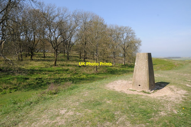Photo 6"x4" Trig Point, Badbury Rings Hemsworth\/ST9605 c2014