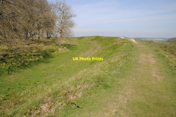 Photo 6"x4" Badbury Rings Hemsworth\/ST9605 c2014