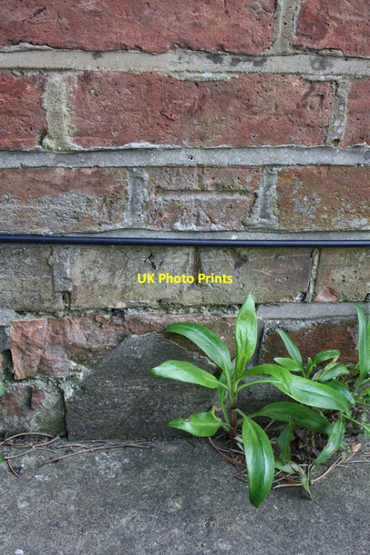 Photo 6"x4" Benchmark on #230 Marston Road Oxford\/SP5106 c2014