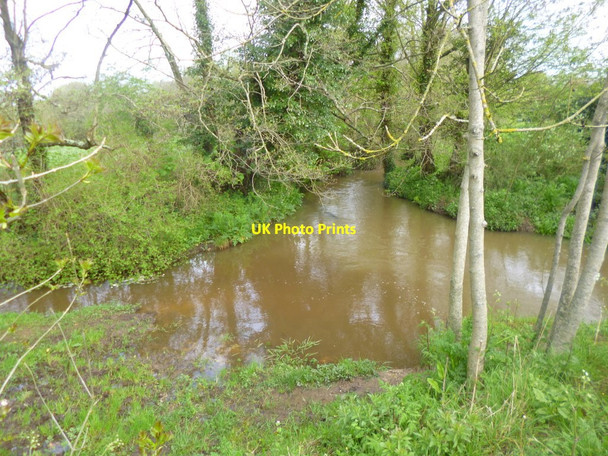 Photo 6"x4" Organford, Sherford River Organford c2014