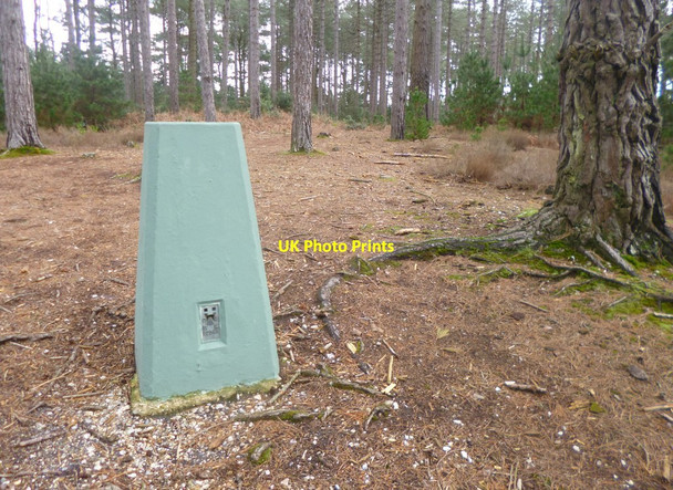 Photo 6"x4" Gore Heath, trig point Organford c2014