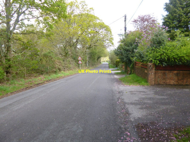 Photo 6"x4" Holton Heath, Organford Road Lytchett Minster c2014