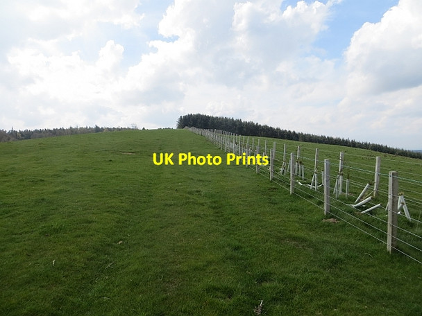 Photo 6"x4" Newmains Hill Garvald\/NT5870 c2014