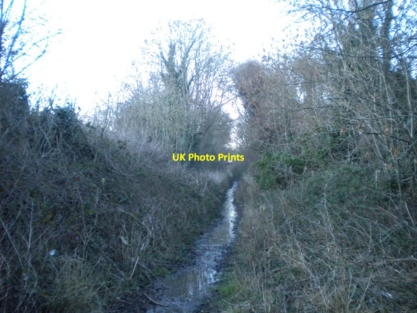 Photo 6"x4" Railway trackbed, Gedling (1) Carlton\/SK6041 c2014